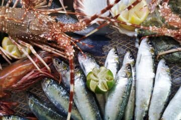 EATING FROM THE ATLANTIC IN THE ALGARVE