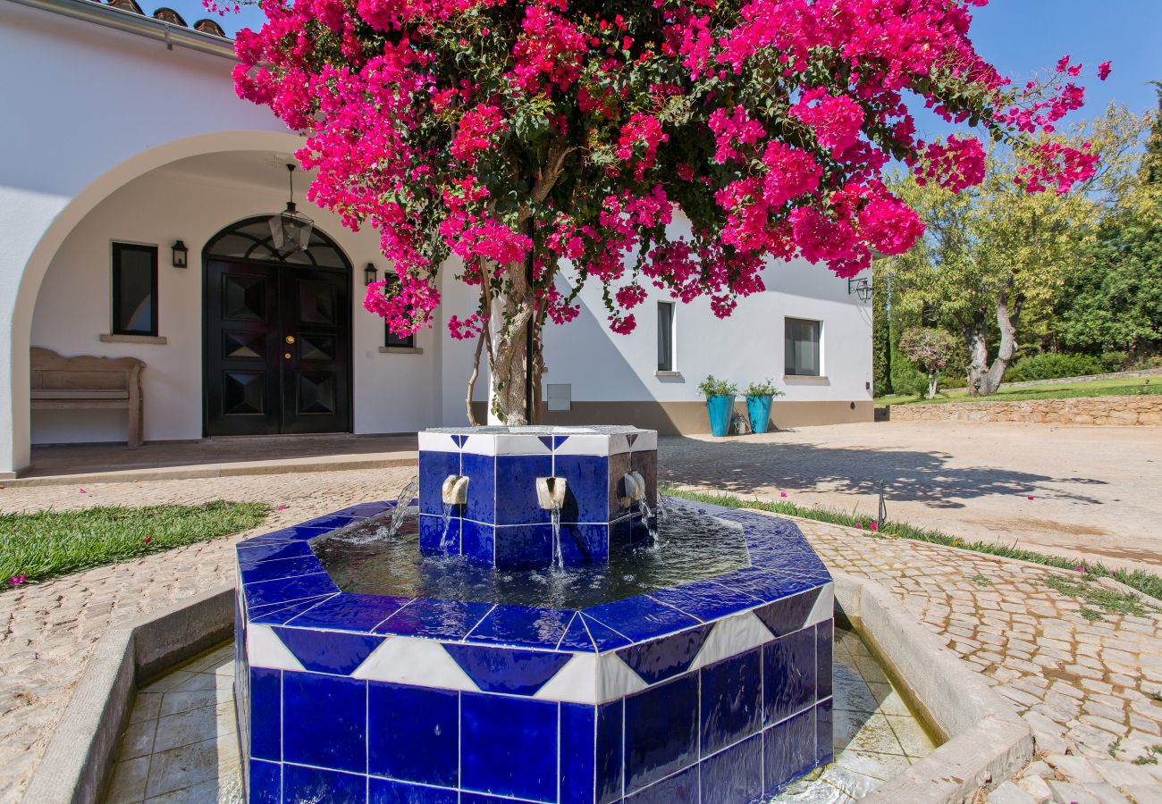 Villa in Santa Bárbara de Nexe - Villa dos Ciprestes