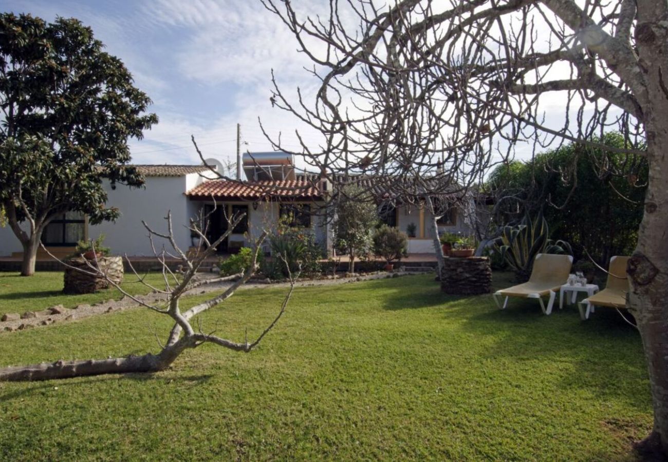 House in Tavira - Casa Velha Grande